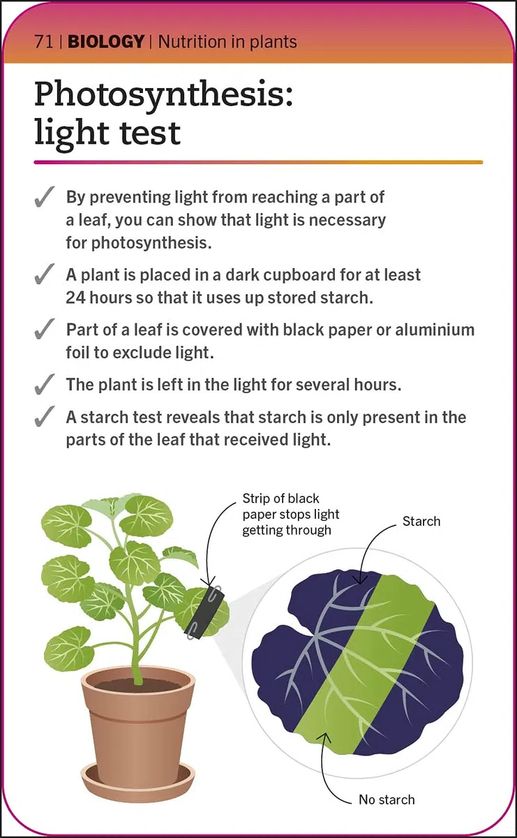 Super Simple Biology Revision Cards Key Stages 3 and 4: 125 Comprehensive, Easy-to-Use Revision Cards for GCSE Exam Preparation