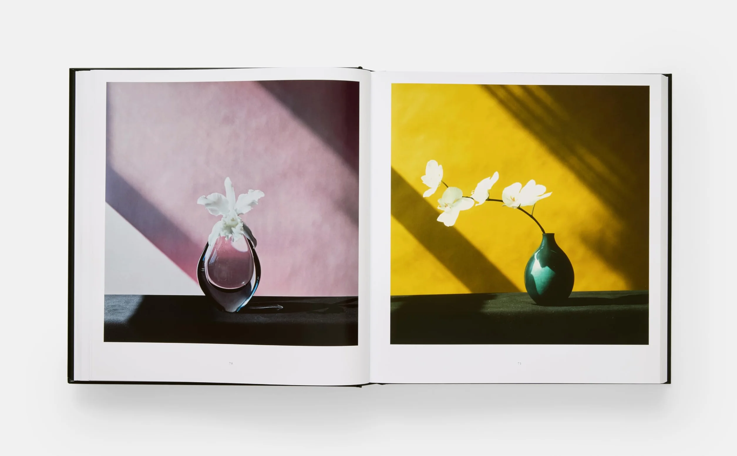 Mapplethorpe Flora: The Complete Flowers