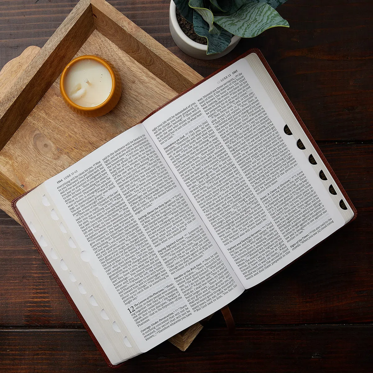Nabre, New American Bible, Revised Edition, Catholic Bible, Large Print Edition, Leathersoft, Black, Thumb Indexed, Comfort Print: Holy Bible
