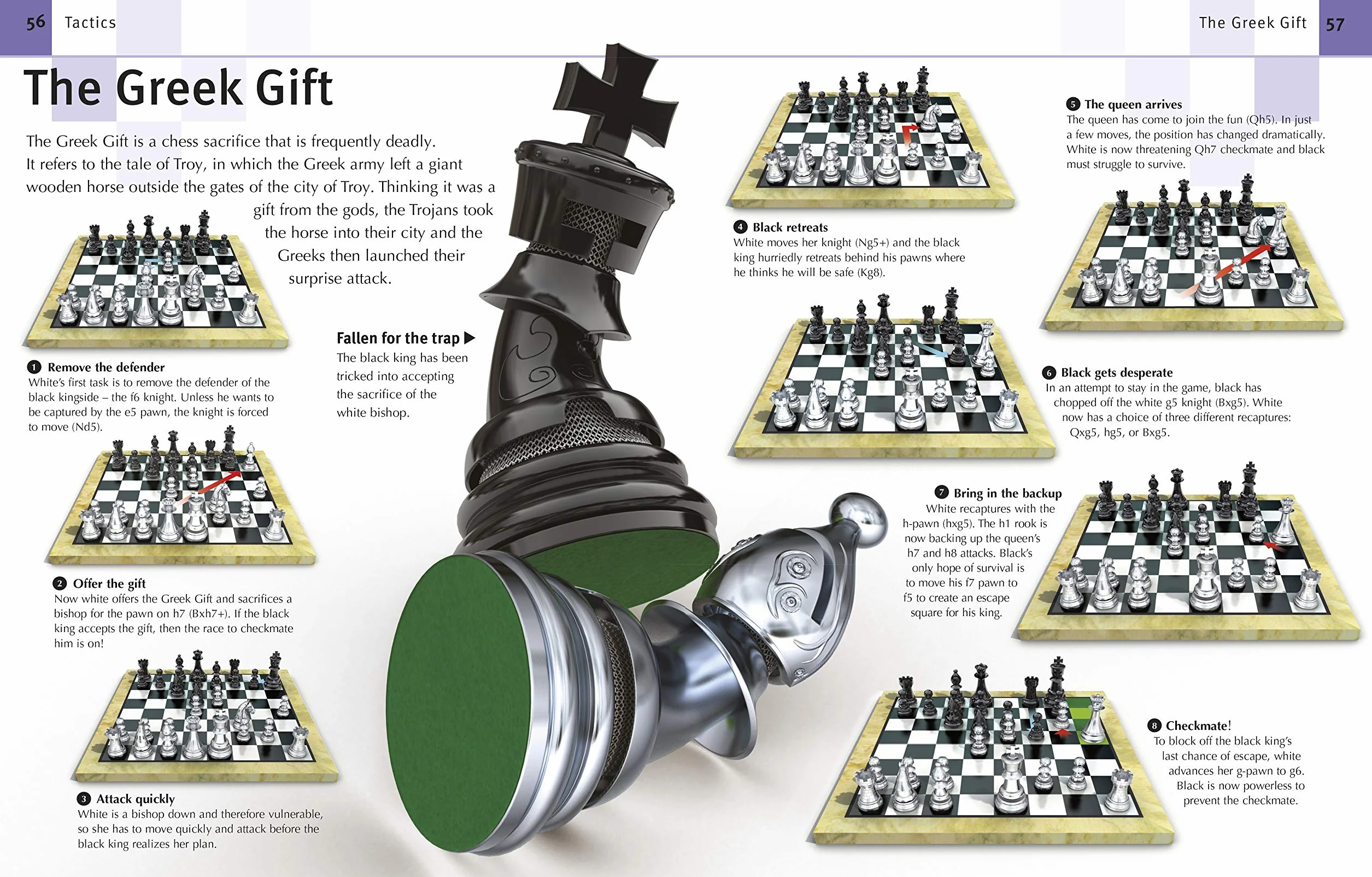 How to Play Chess