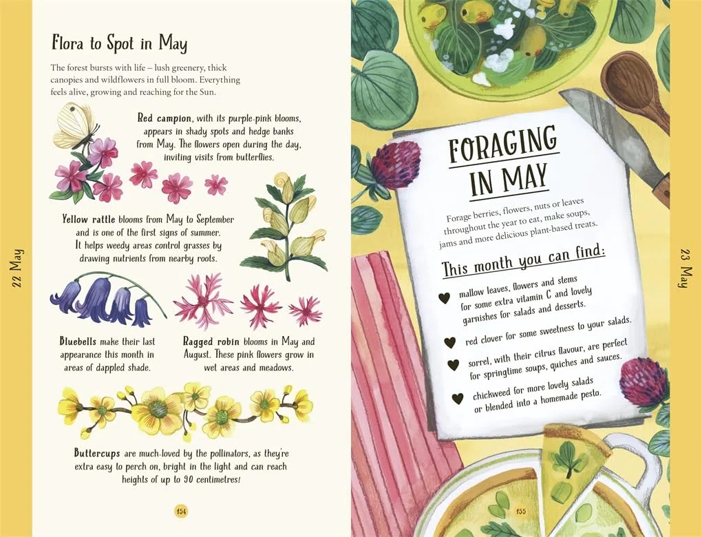 A Year in the Forest: 365 facts and activities to inspire you all year round