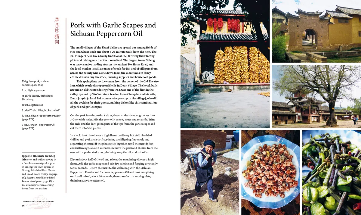 Cooking South of the Clouds: Recipes and Stories from China's Yunnan Province