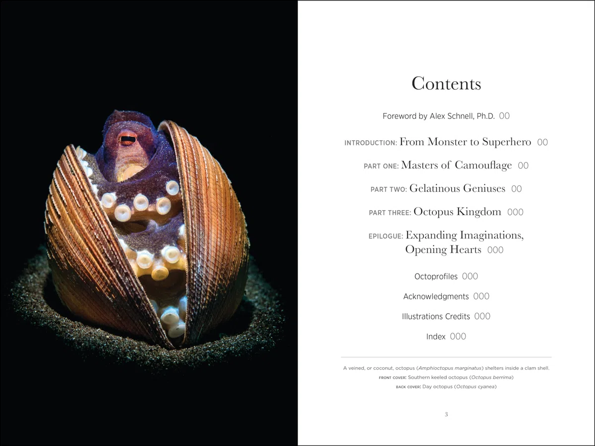 Secrets of the Octopus