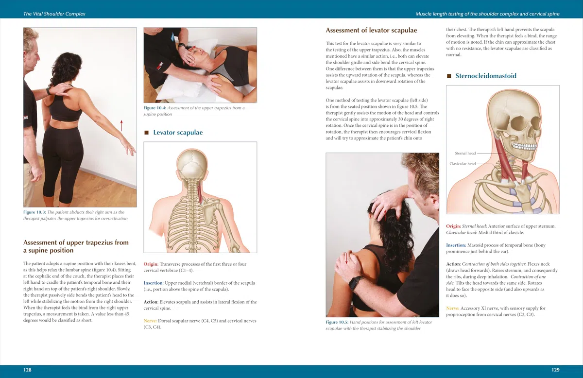 The Vital Shoulder Complex: An Illustrated Guide to Assessment, Treatment, and Rehabilitation