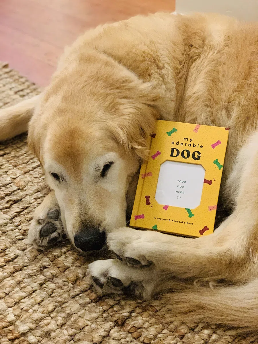 My Adorable Dog: A Journal & Keepsake Book