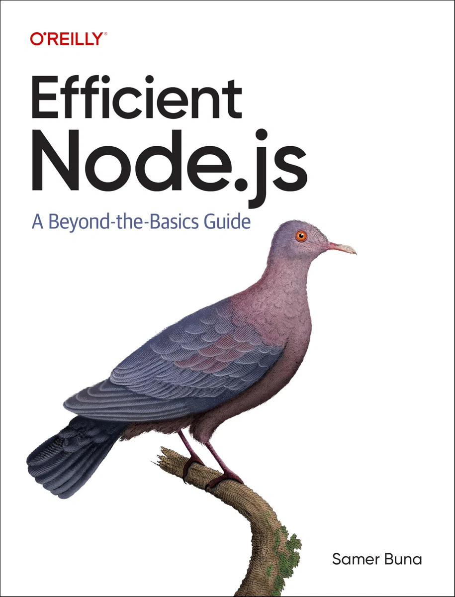 Efficient Node.Js: A Beyond-The-Basics Guide
