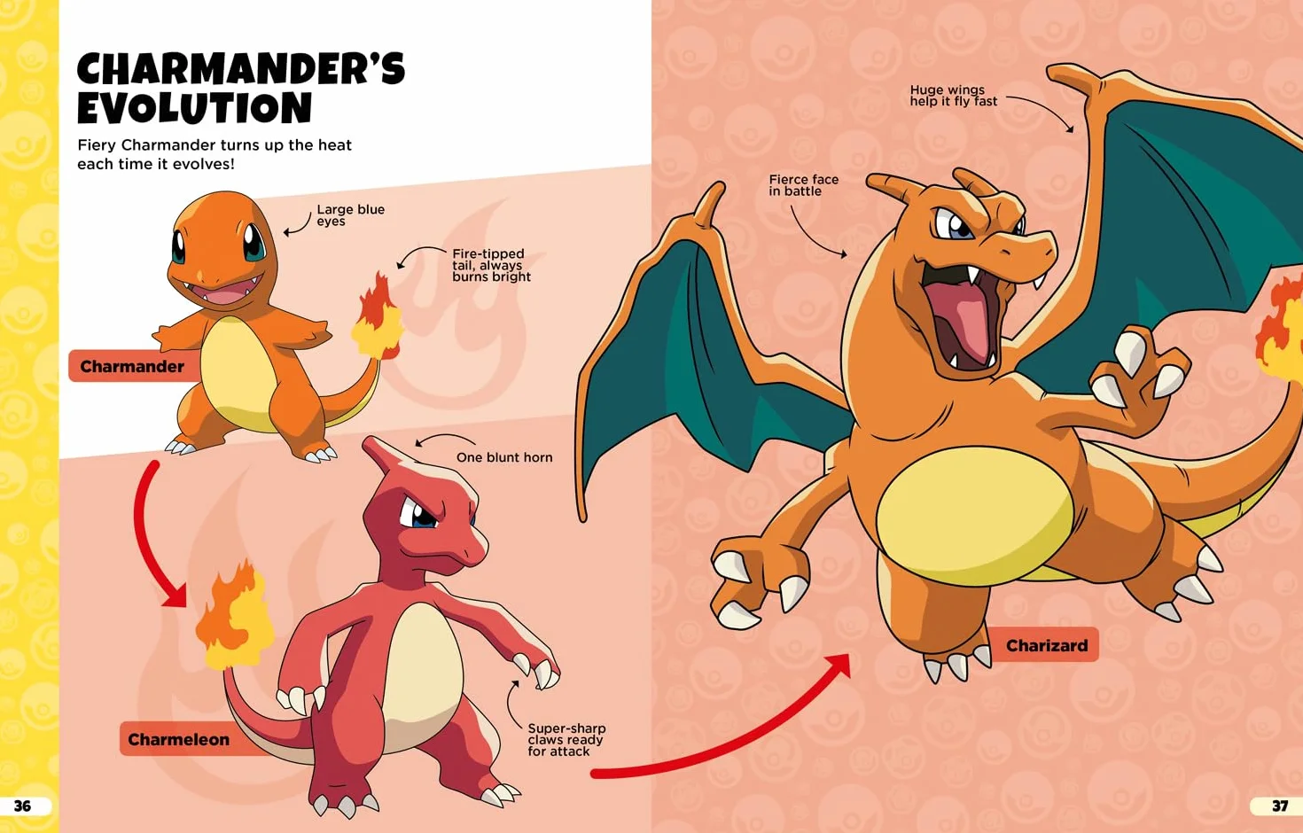 Pokémon: Evolutions Guide: Everything you’ve ever wanted to know about Pokémon and their evolutions.