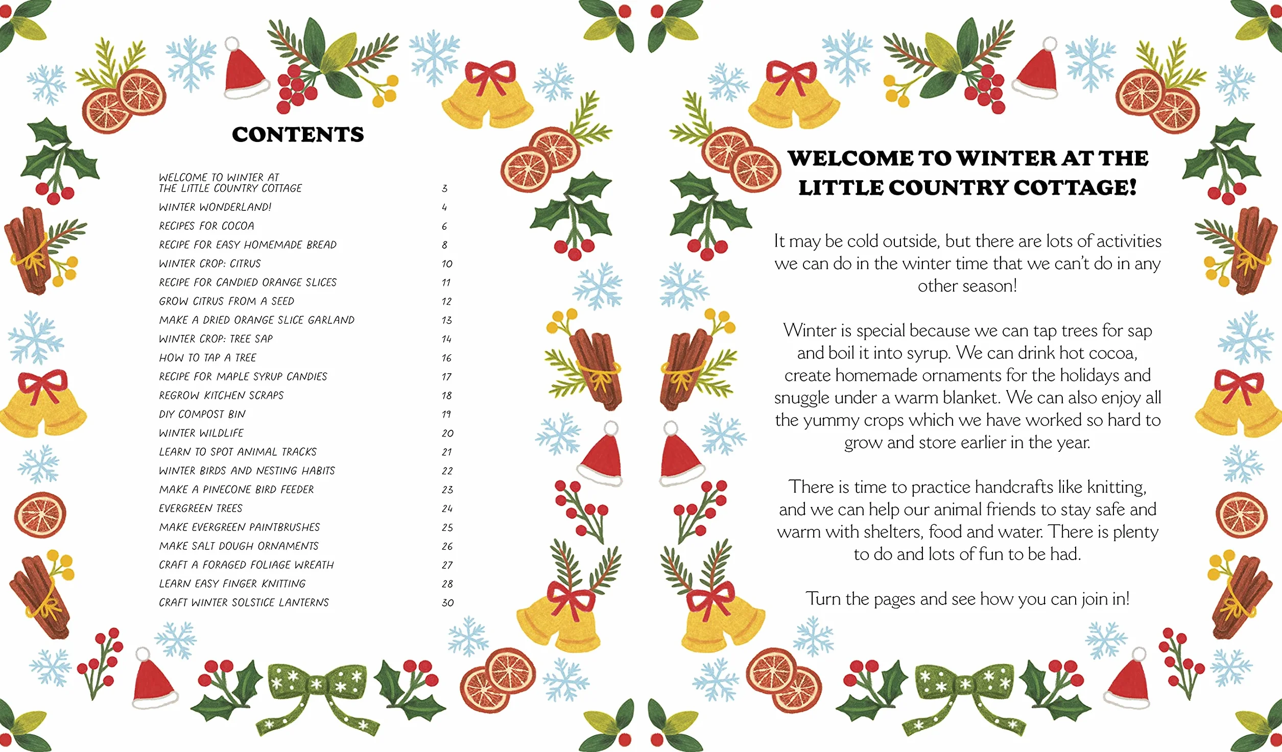 Little Country Cottage: A Winter Treasury of Recipes, Crafts and Wisdom