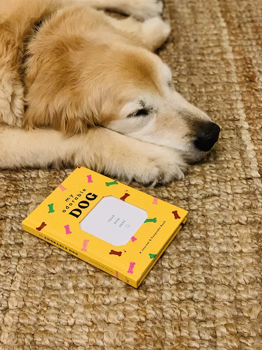 My Adorable Dog: A Journal & Keepsake Book