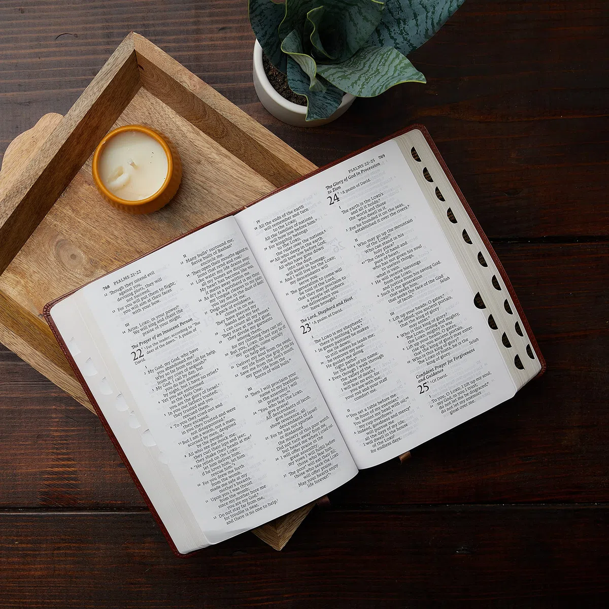 Nabre, New American Bible, Revised Edition, Catholic Bible, Large Print Edition, Leathersoft, Black, Thumb Indexed, Comfort Print: Holy Bible