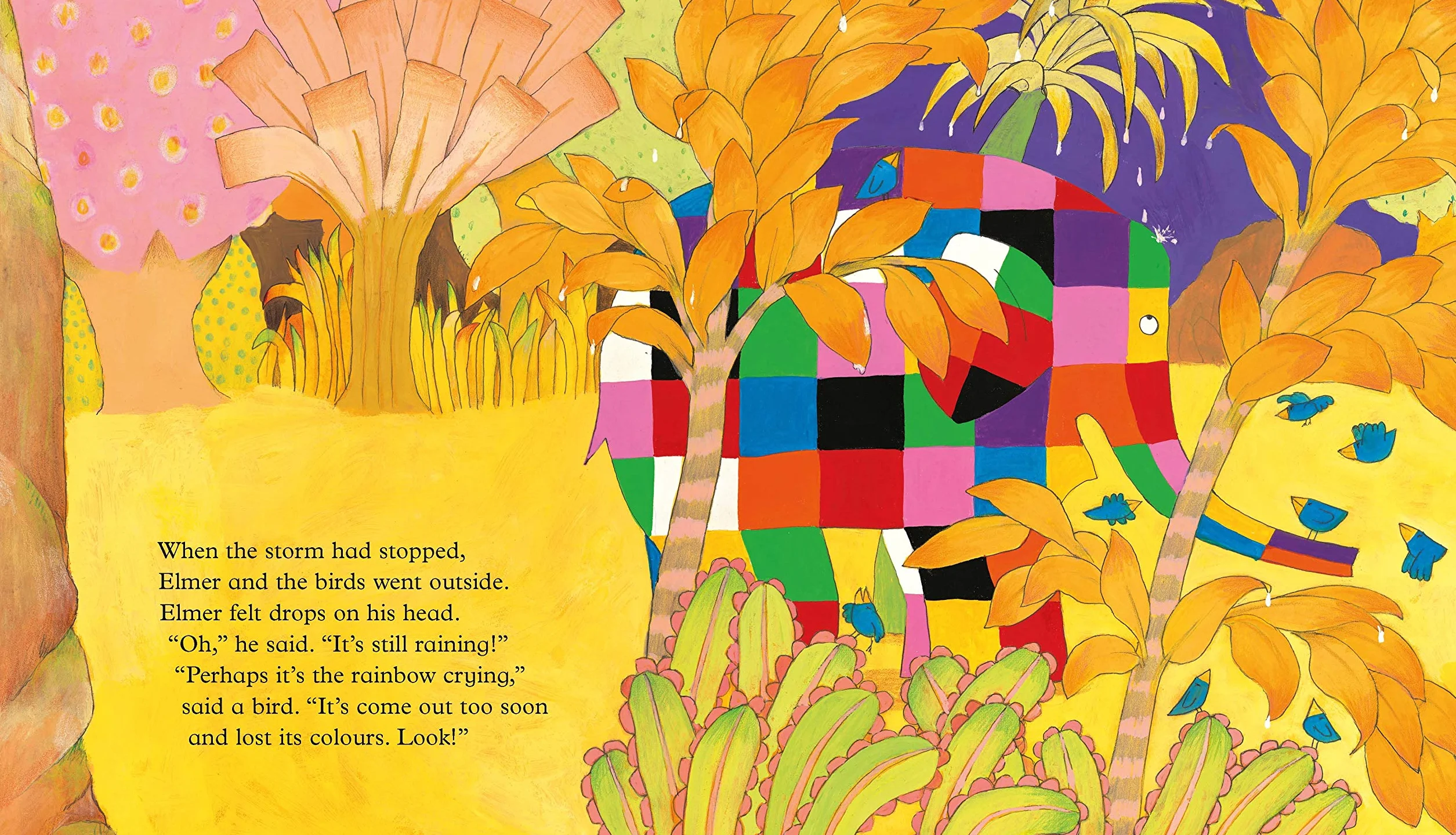 Elmer and the Rainbow (Elmer Picture Books)