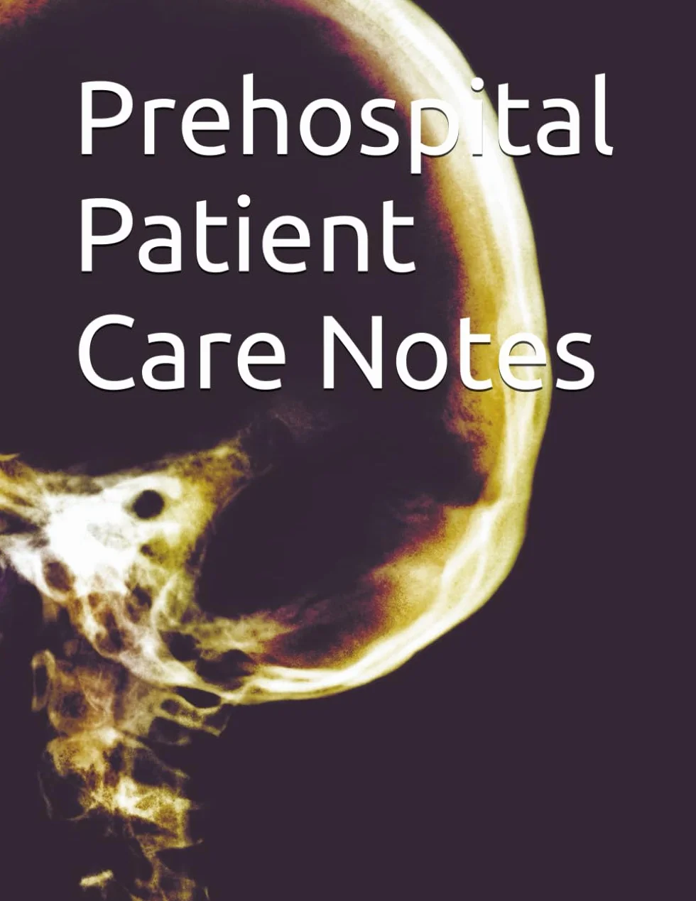 Prehospital Patient Care Notes