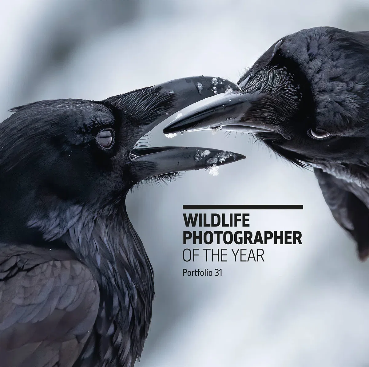 Wildlife Photographer of the Year: Portfolio 31: Volume 31
