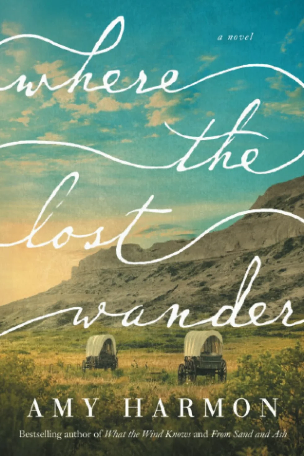 Where the Lost Wander: A Novel