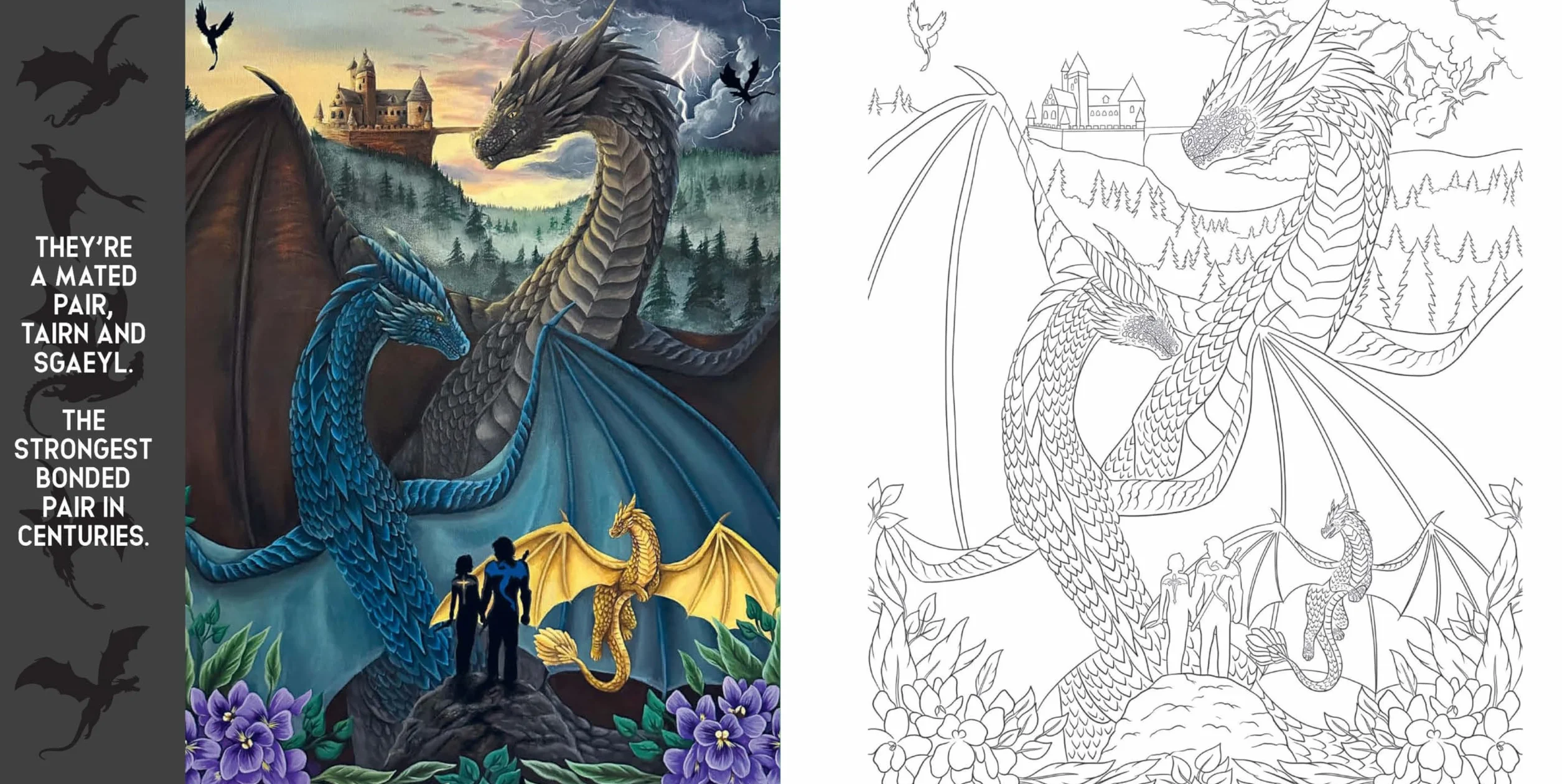 Fourth Wing: The Official Coloring Book