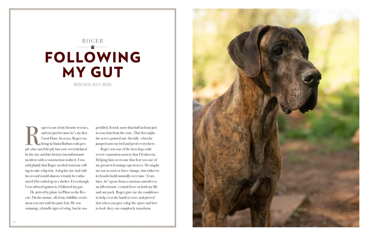 Saved by the Pack: How 50 Dogs Helped Me Find My Purpose