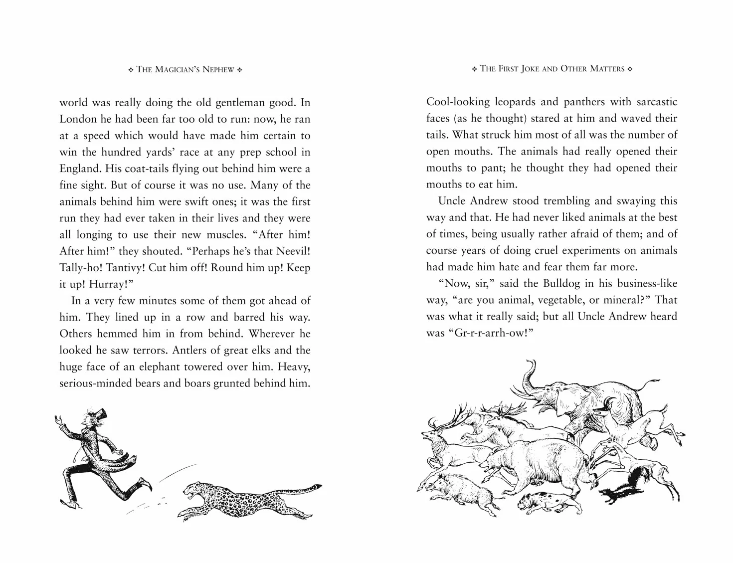 The Magician’s Nephew: Book 1 in the classic children’s fantasy adventure series