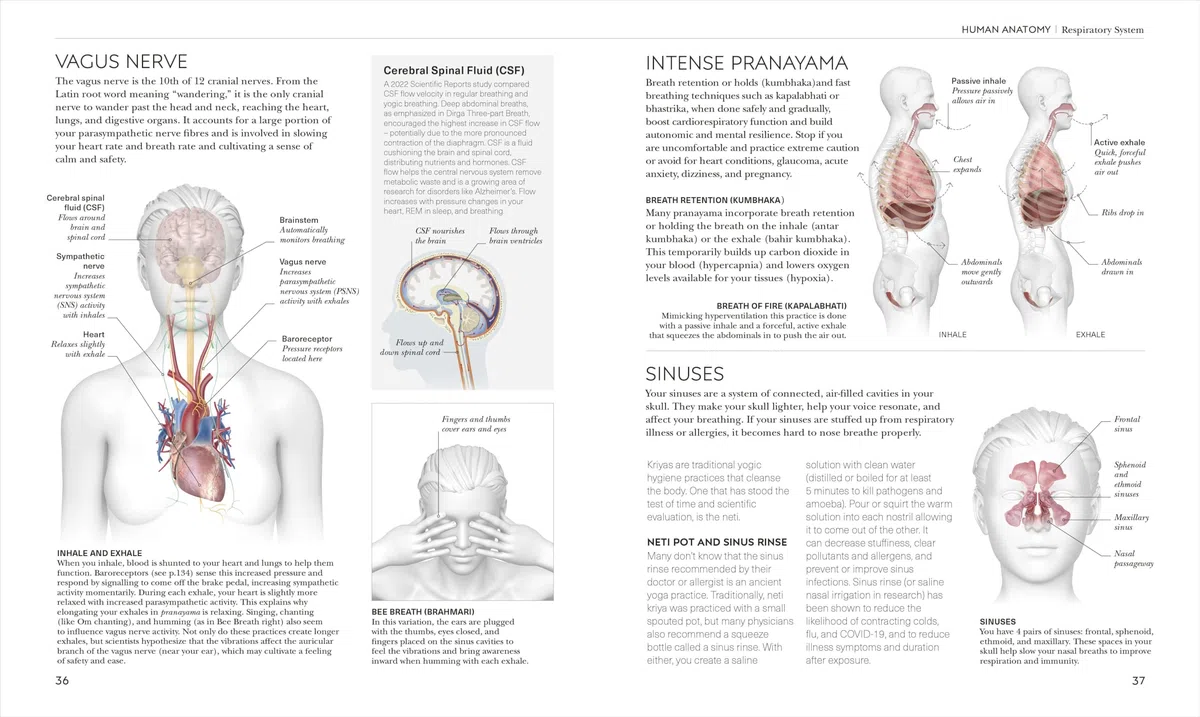 Science of Yoga: Understand the Anatomy and Physiology to Perfect Your Practice