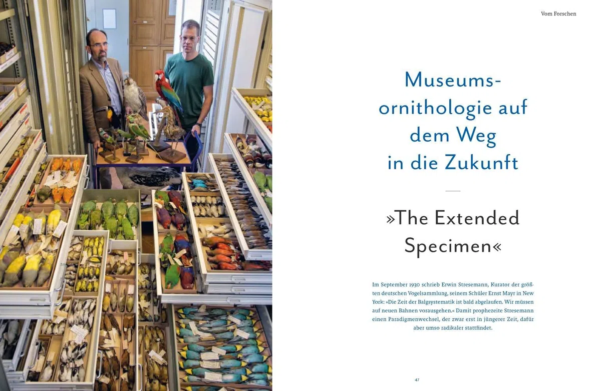 Vogelwelten: Expeditionen ins Museum