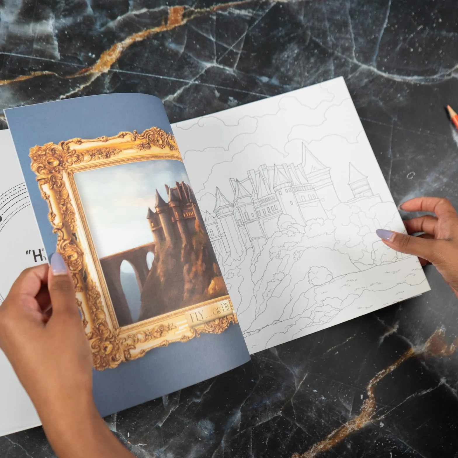 Fourth Wing: The Official Coloring Book