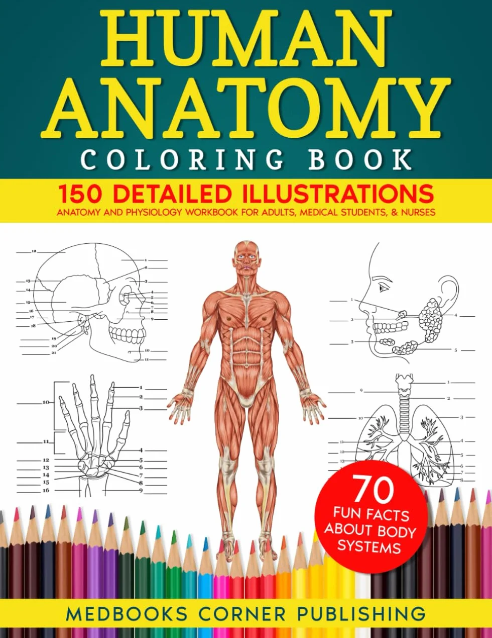 Human Anatomy Coloring Book: 150 Detailed Illustrations & 70 Fascinating Facts in an Anatomy and Physiology Workbook for Adults, Medical Students, & Nurses Focused on Advanced Body Systems Learning