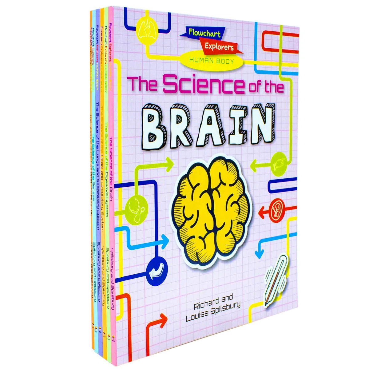 Flowchart Explorers Human Body STEM 6 Science Books Set: (Brain, Digestive, Heart, Lungs, Senses, Skeleton)