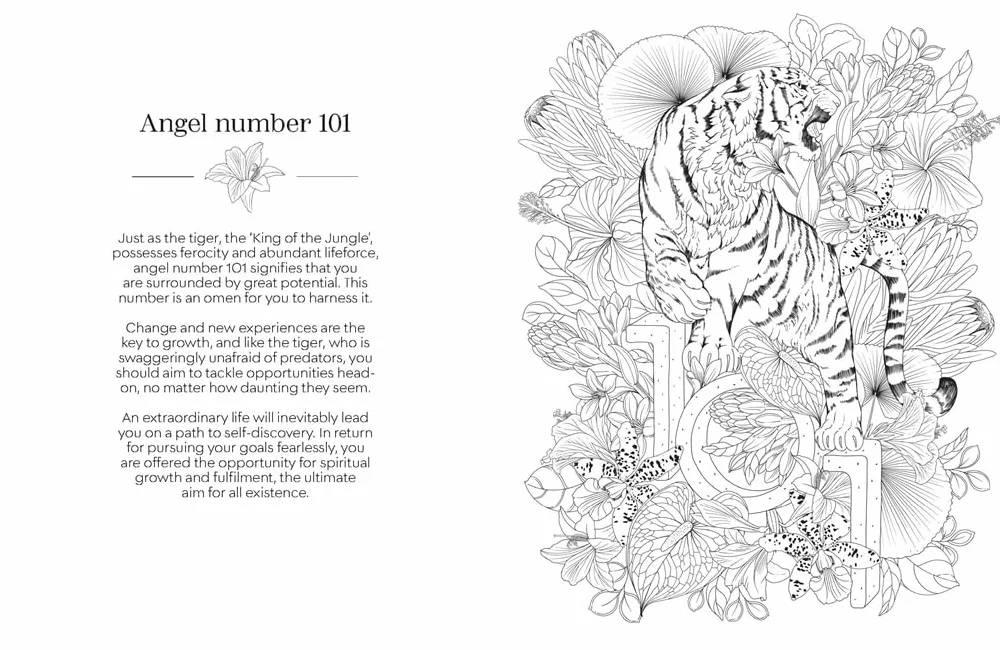 Angel Numbers Colouring: Discover the Wisdom of Numerology