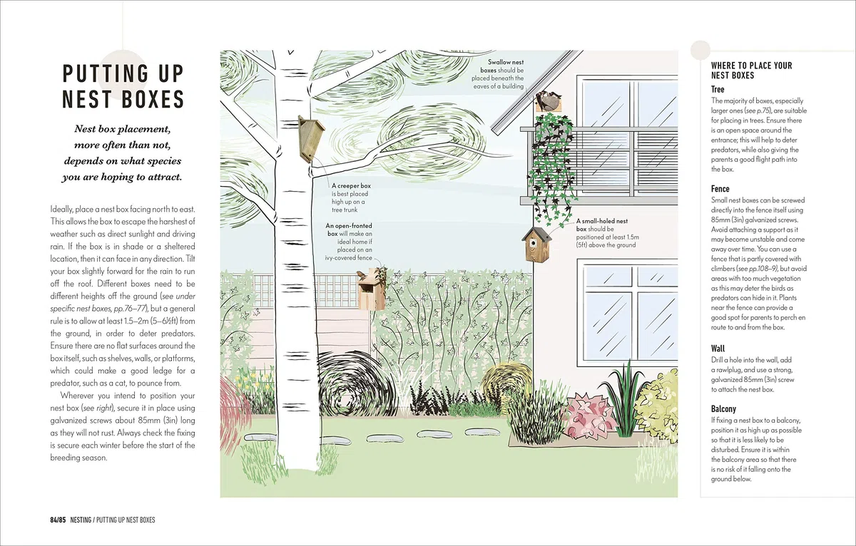 How to Attract Birds to Your Garden: Foods they like, plants they love, shelter they need