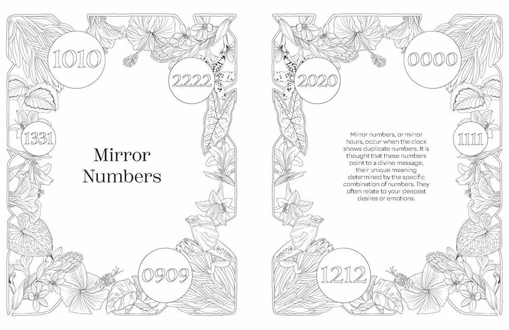 Angel Numbers Colouring: Discover the Wisdom of Numerology
