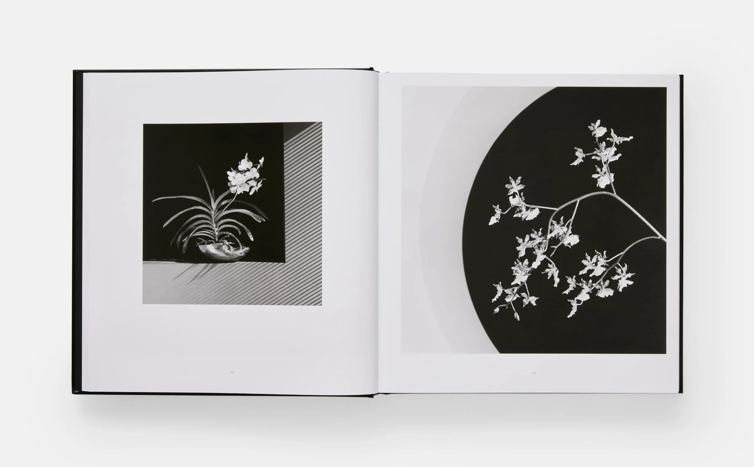 Mapplethorpe Flora: The Complete Flowers