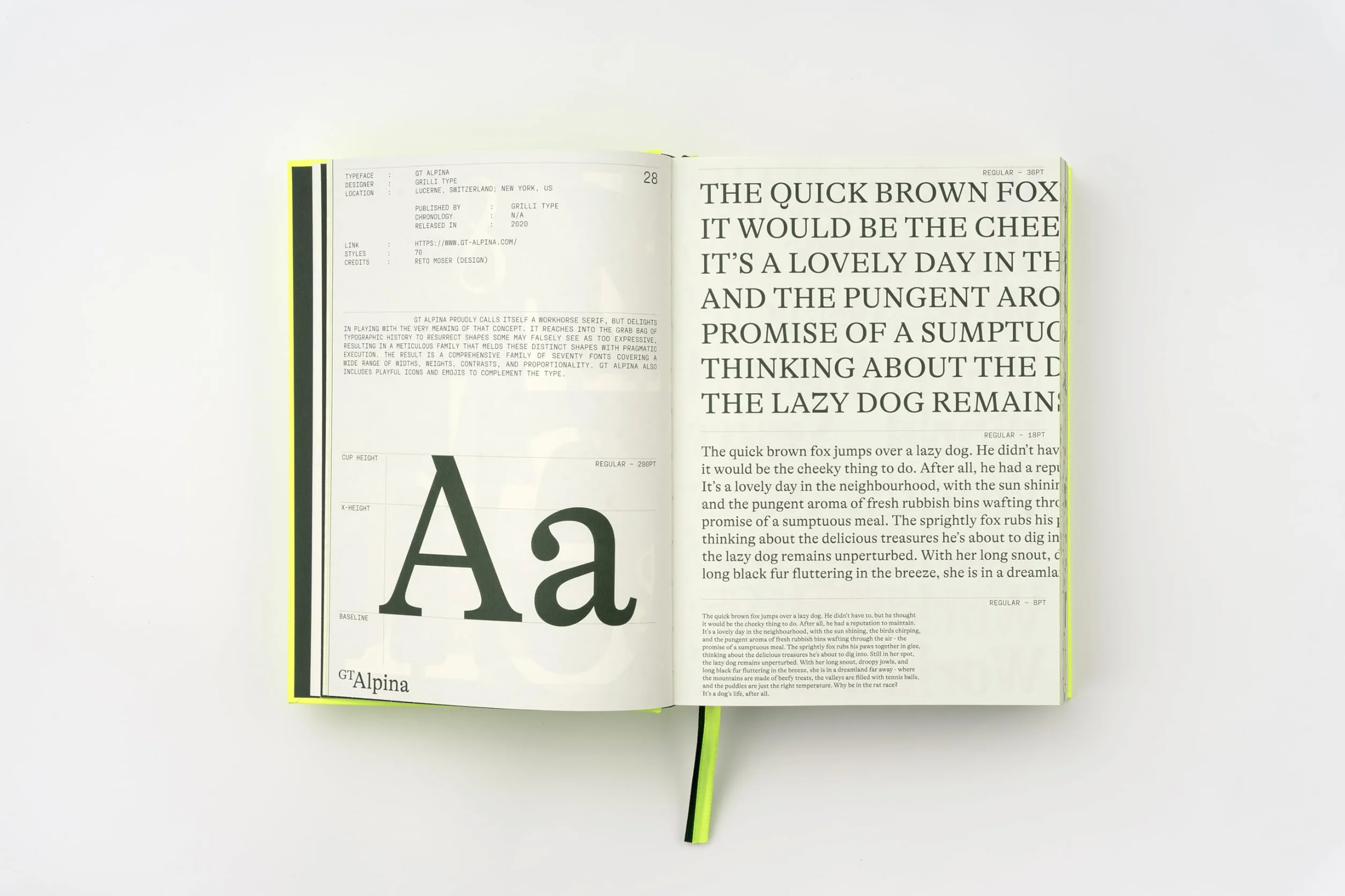 Serif In Use: Creative Typefaces and their Applications /anglais