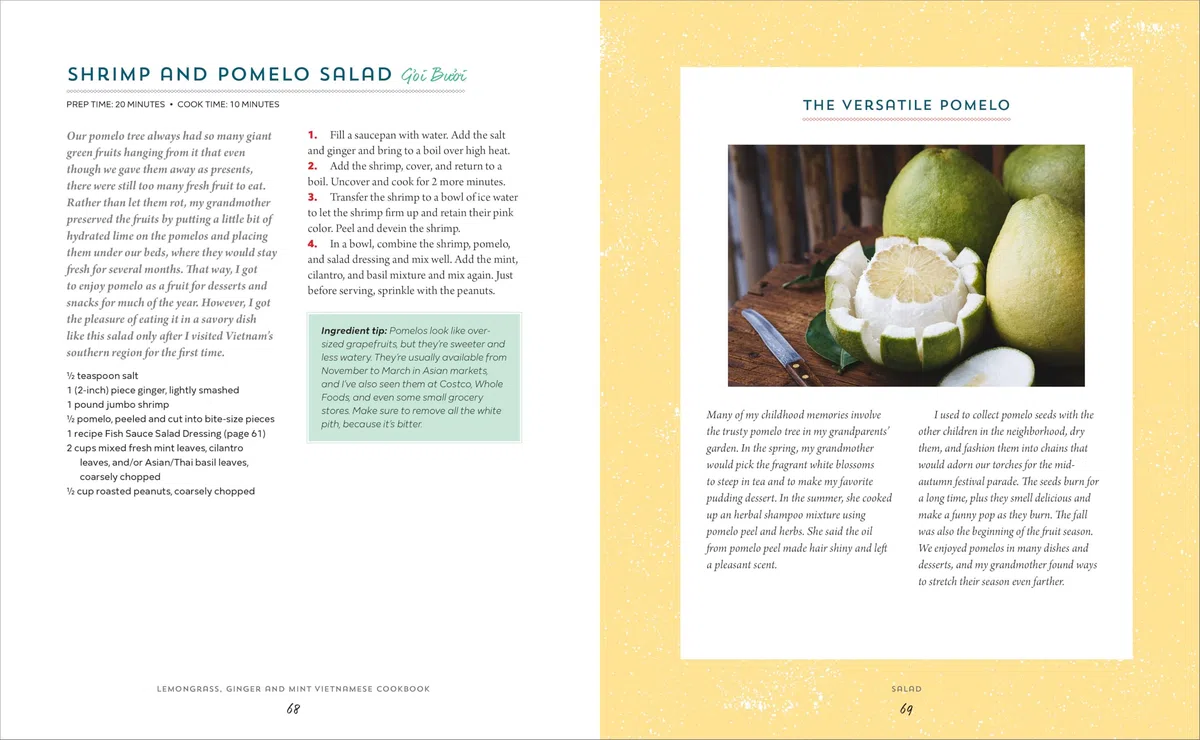 Lemongrass, Ginger and Mint Vietnamese Cookbook: Classic Vietnamese Street Food Made at Home