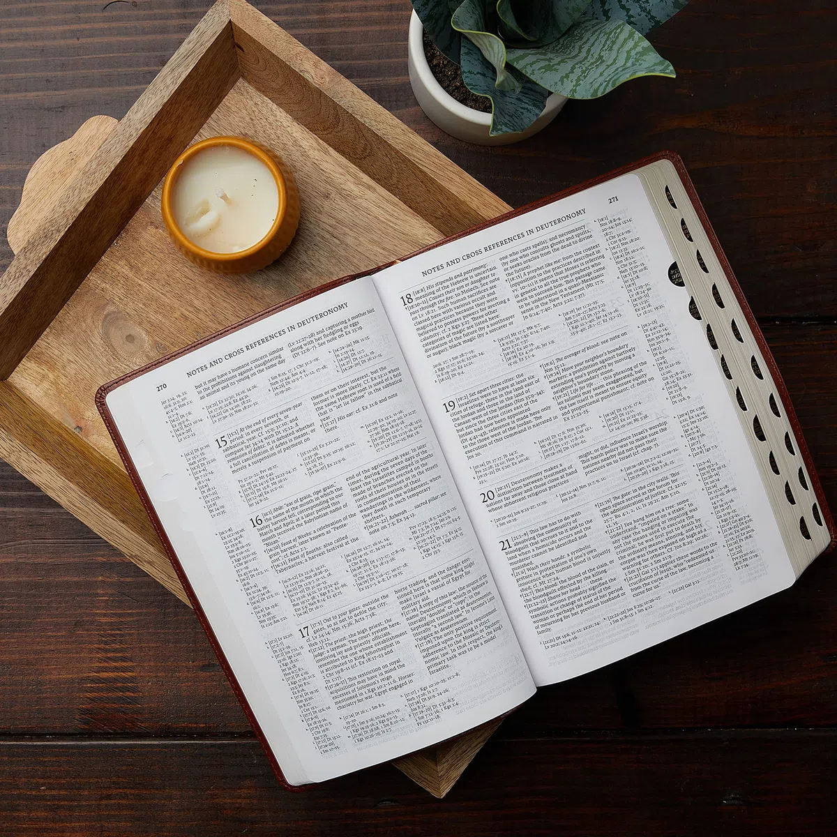 Nabre, New American Bible, Revised Edition, Catholic Bible, Large Print Edition, Leathersoft, Black, Thumb Indexed, Comfort Print: Holy Bible