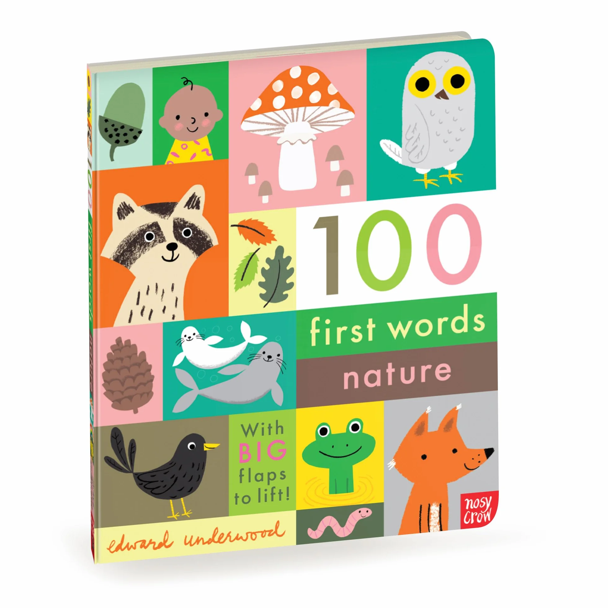 100 First Words: Nature