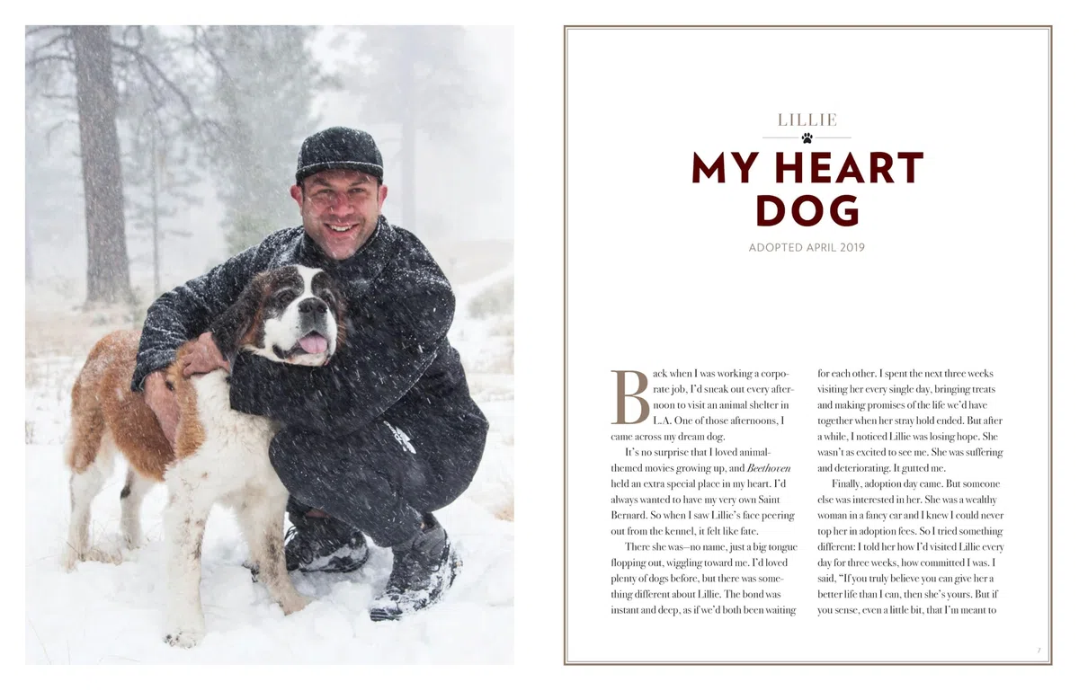 Saved by the Pack: How 50 Dogs Helped Me Find My Purpose