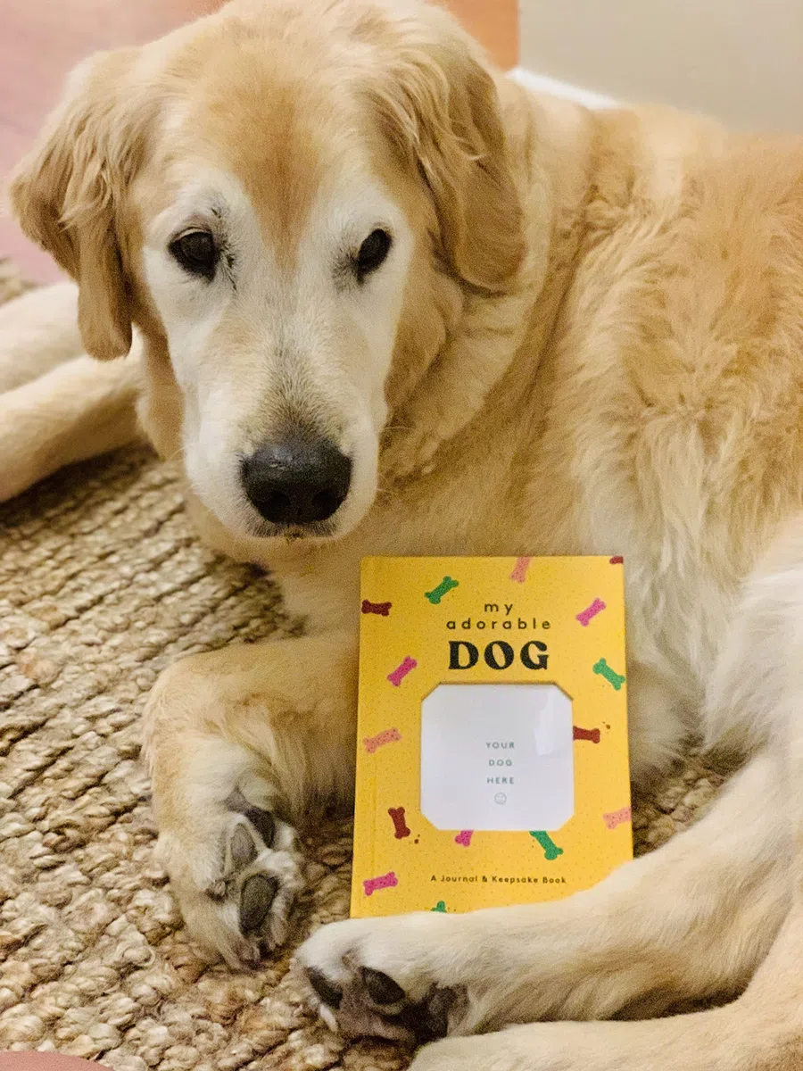 My Adorable Dog: A Journal & Keepsake Book