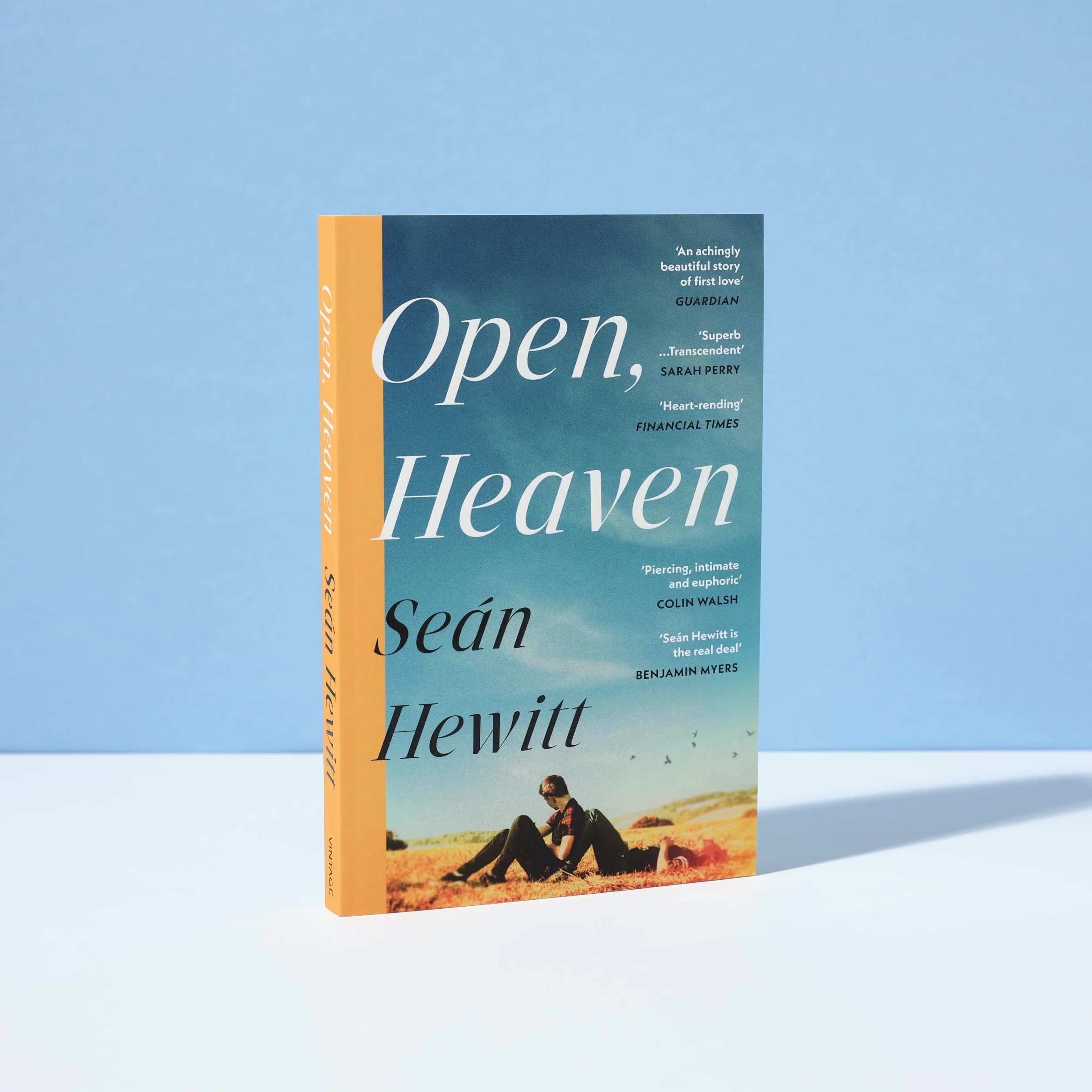 Open, Heaven: The heartbreaking and bestselling novel about how a first love can shape a whole life