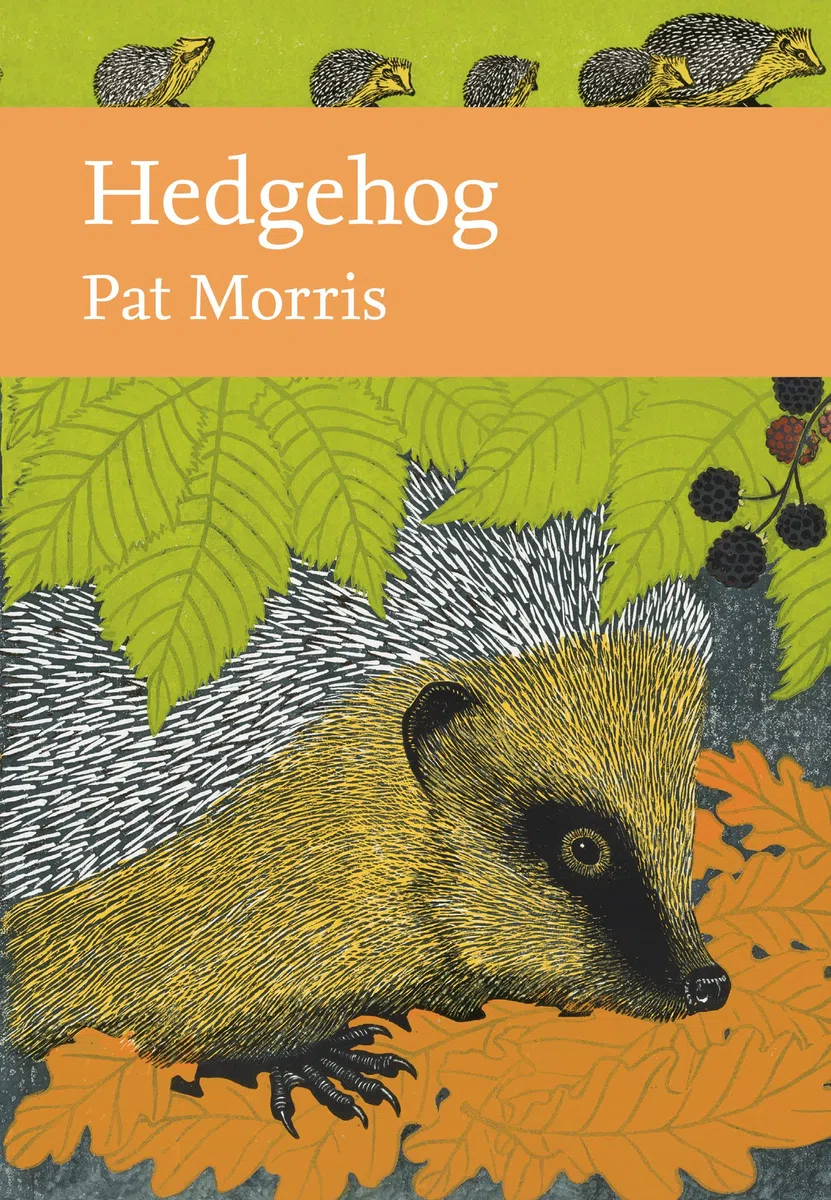 Hedgehog: Book 137