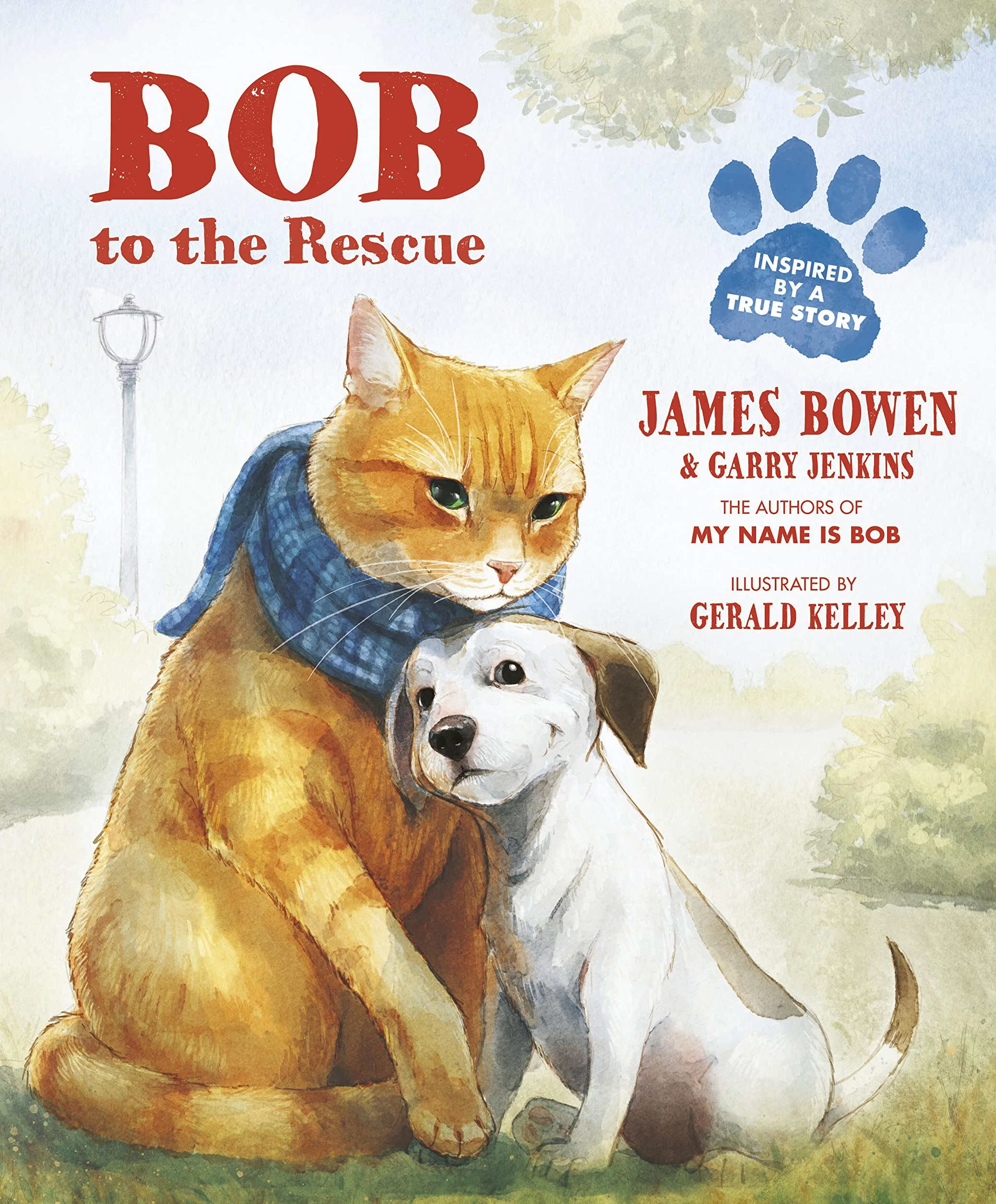 Bob to the Rescue: An Illustrated Picture Book