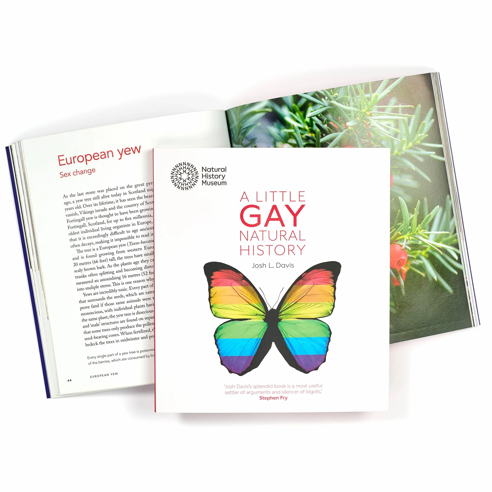 A Little Gay Natural History