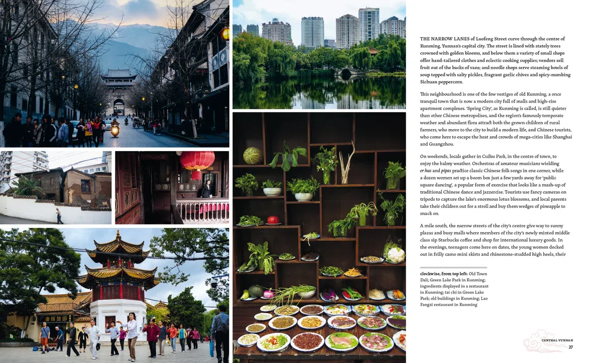 Cooking South of the Clouds: Recipes and Stories from China's Yunnan Province