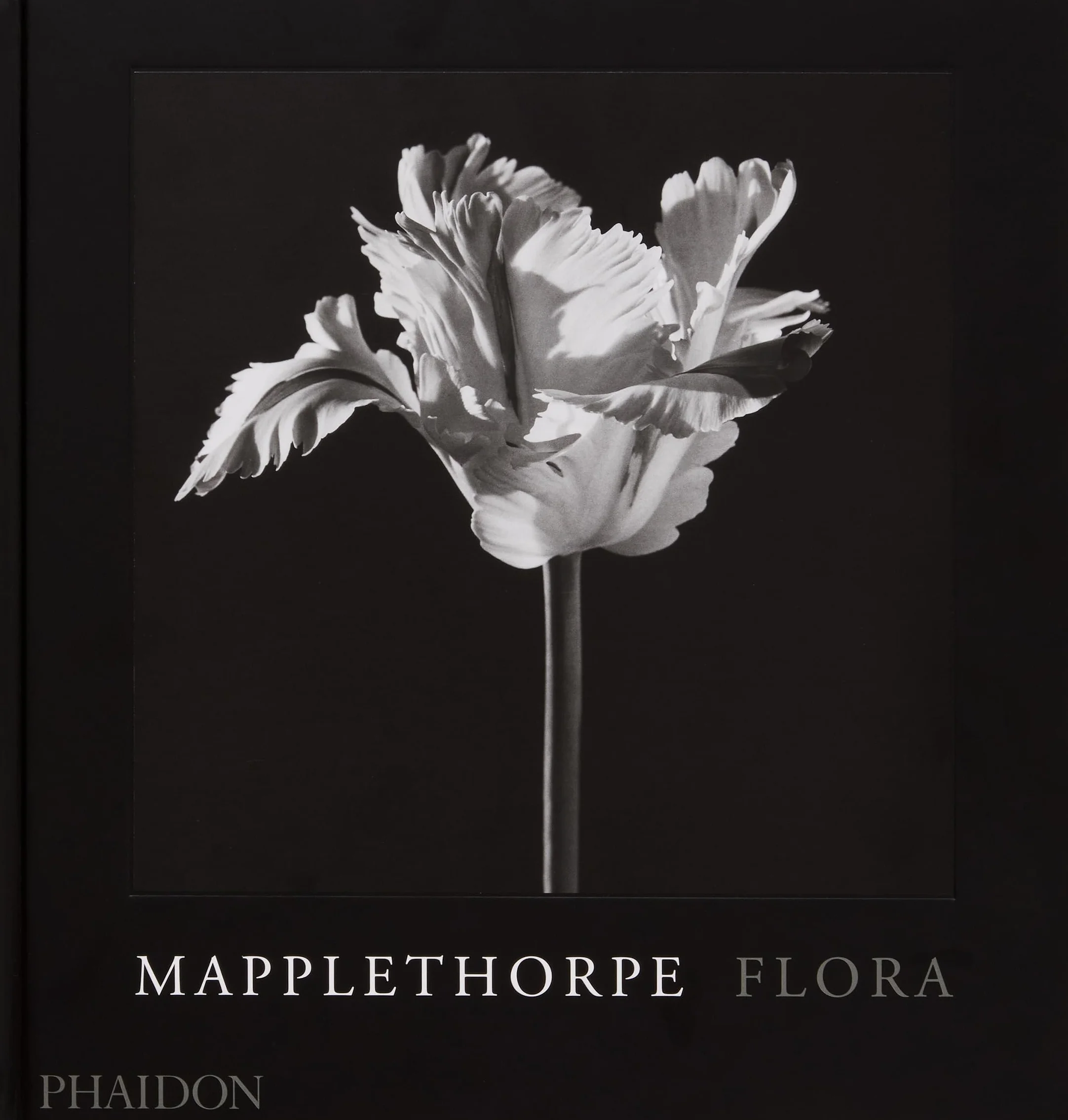 Mapplethorpe Flora: The Complete Flowers
