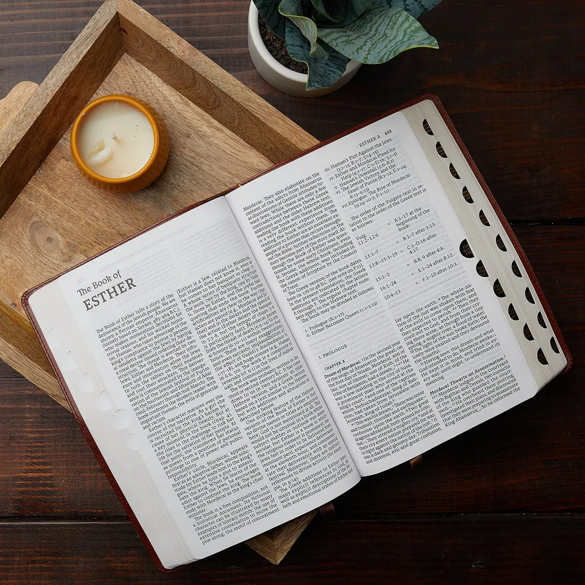 Nabre, New American Bible, Revised Edition, Catholic Bible, Large Print Edition, Leathersoft, Black, Thumb Indexed, Comfort Print: Holy Bible