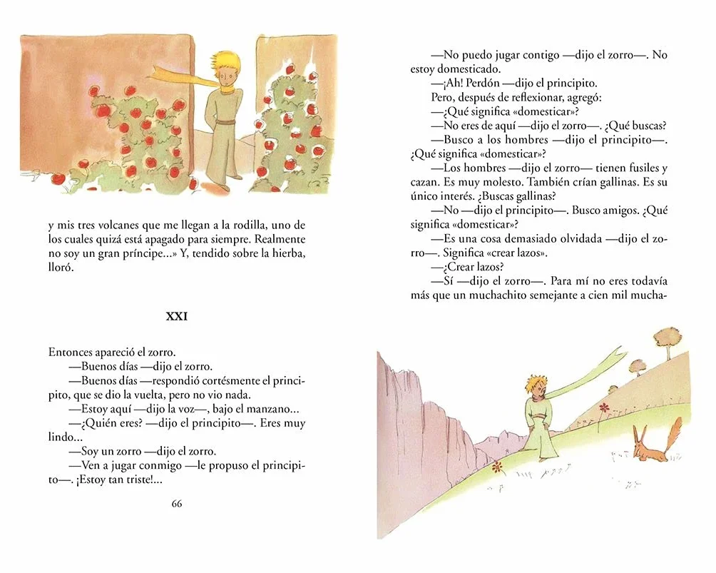 Estuche El Principito / The Little Prince (Boxed Edition)
