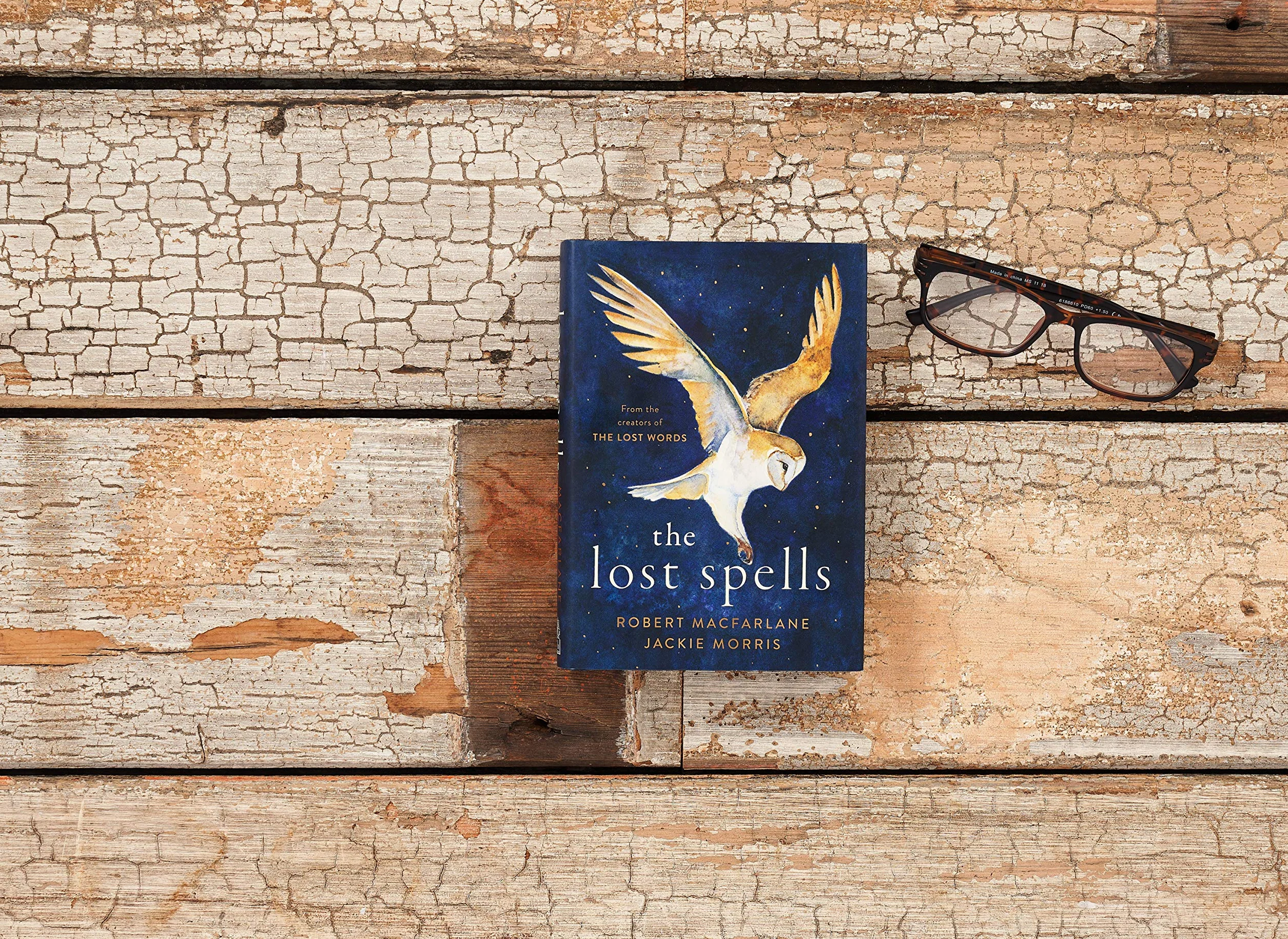 The Lost Spells Un libro encantador y hermoso para los amantes del mundo natural (edición en inglés)