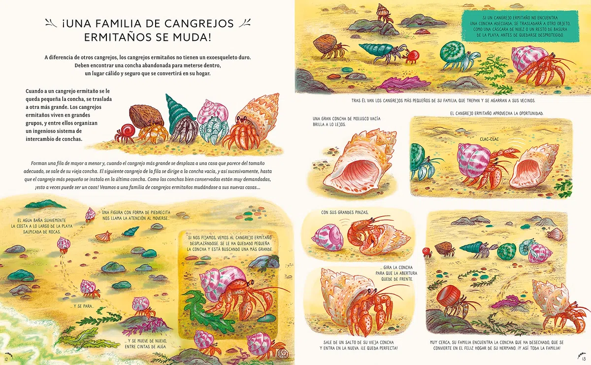 Con calma, aquí y ahora: Más historias de la naturaleza