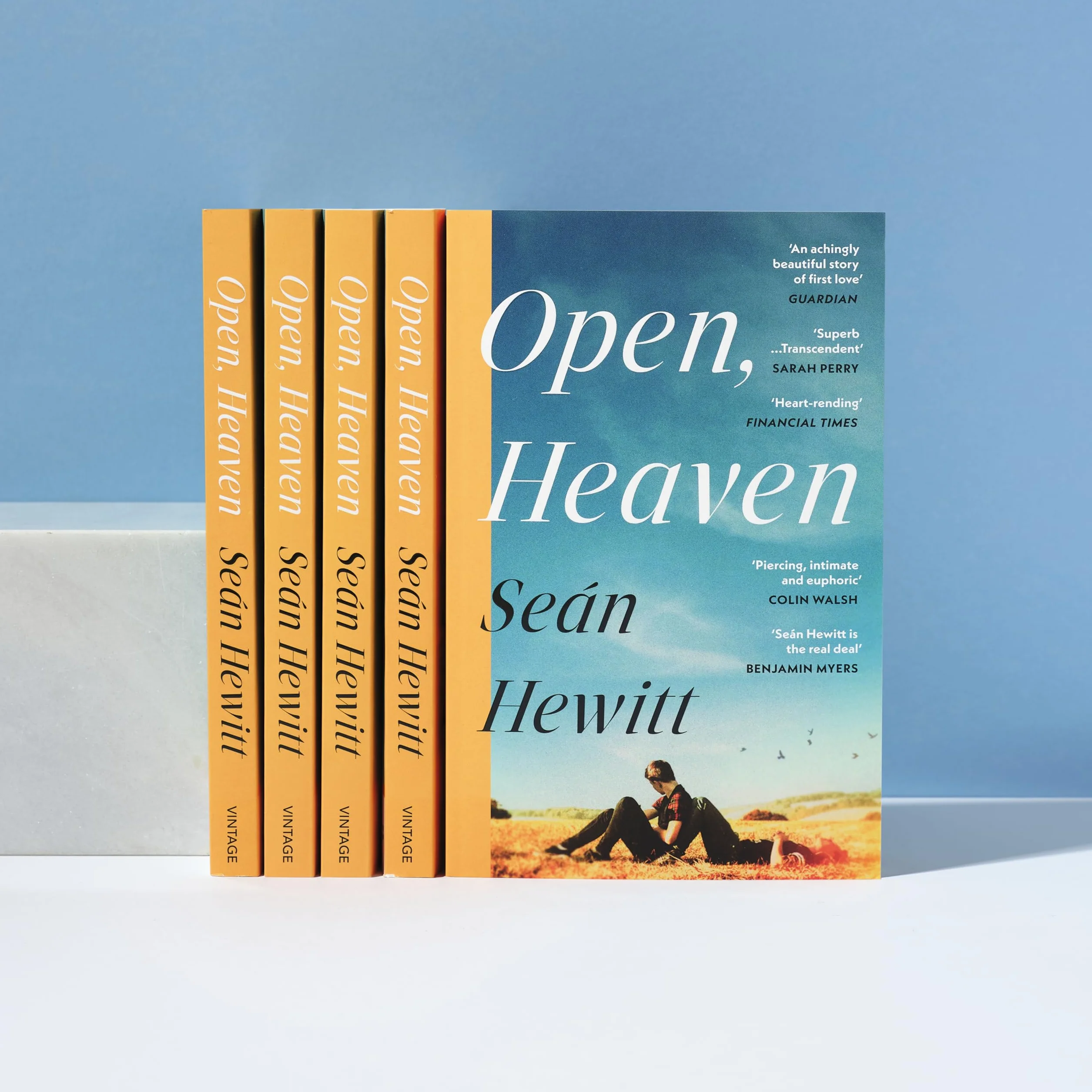 Open, Heaven: The heartbreaking and bestselling novel about how a first love can shape a whole life