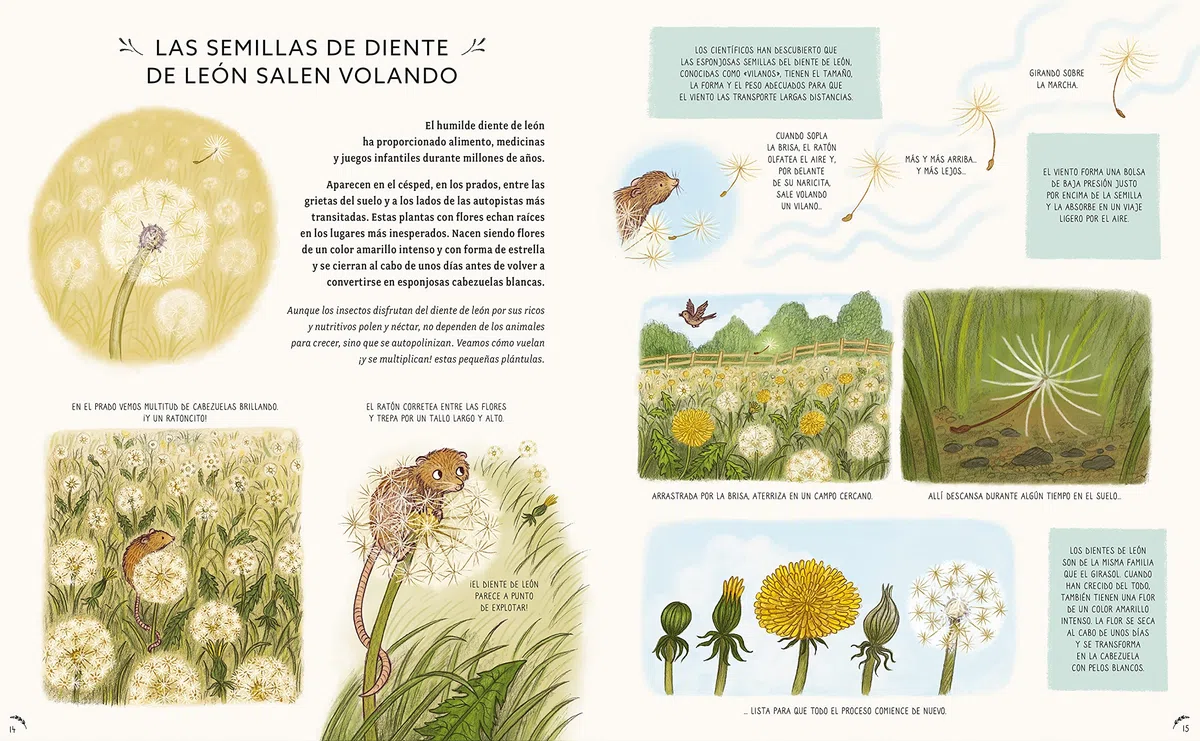 Con calma, aquí y ahora: Más historias de la naturaleza