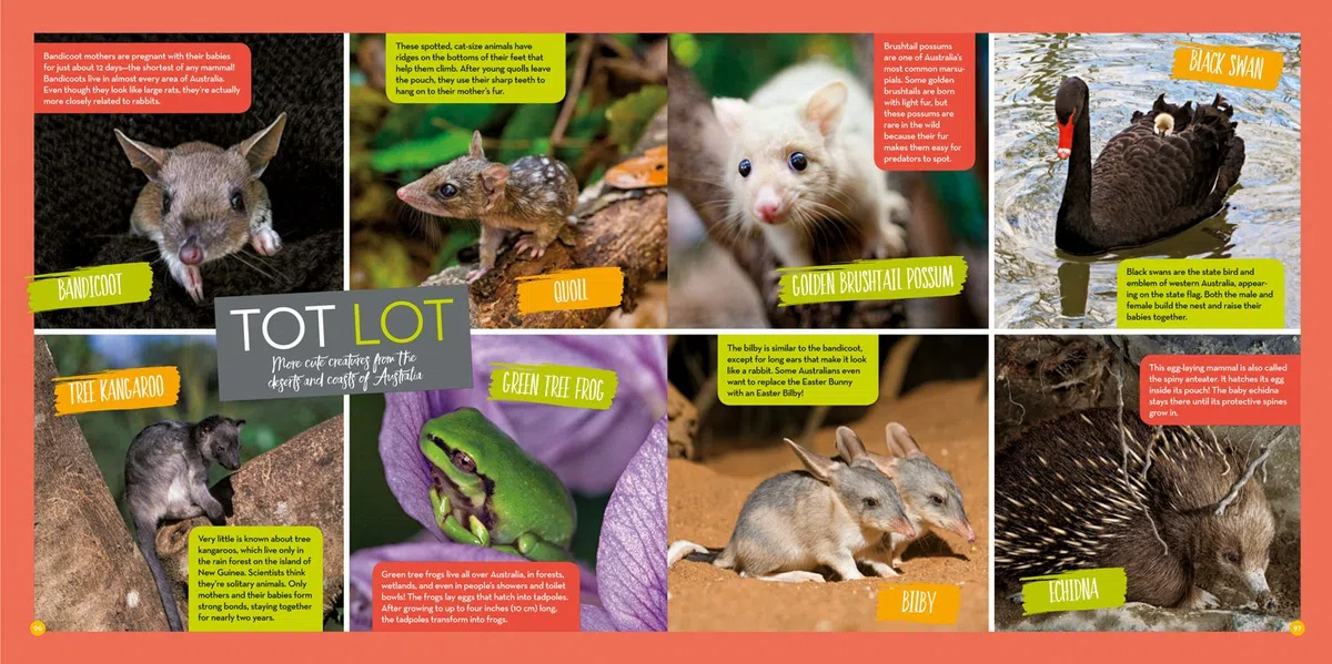 Hey, Baby!: A Collection of Pictures, Poems, and Stories from Nature's Nursery
